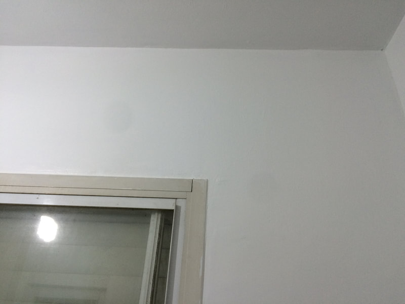 anti-mold paint around window