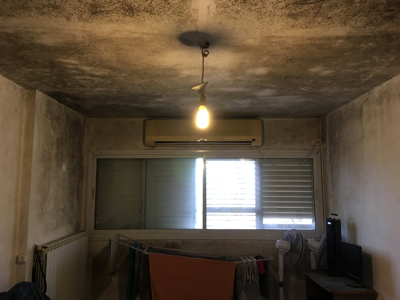 Jerusalem apartment with serious mold damage