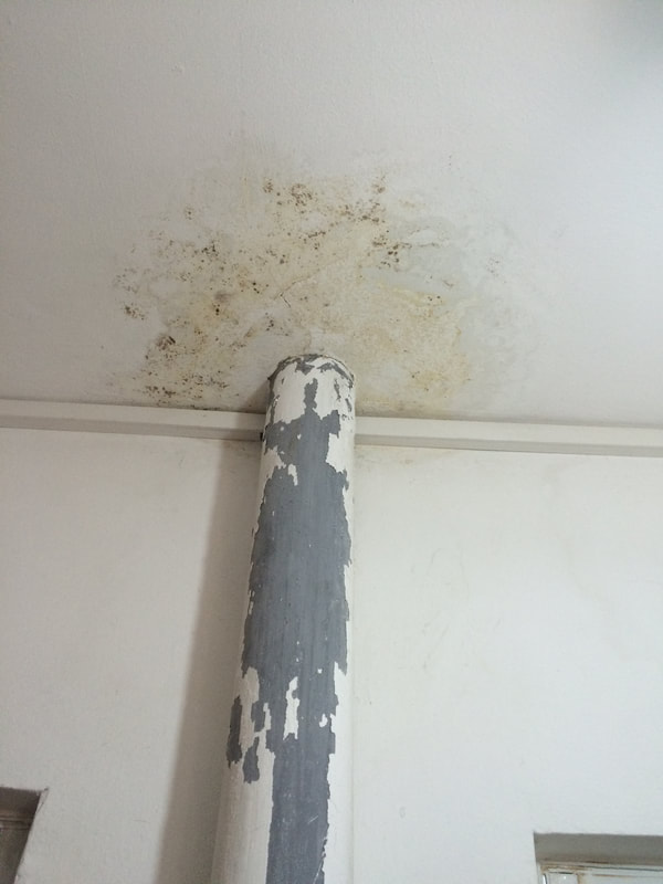 water damage from upstairs neighbour's leak
